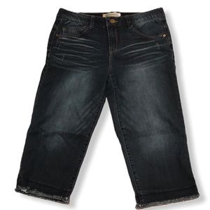 democracy jean capris